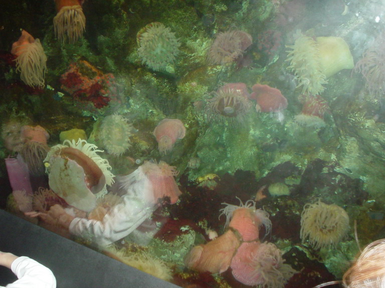 National Aquarium in Baltimore January 2006