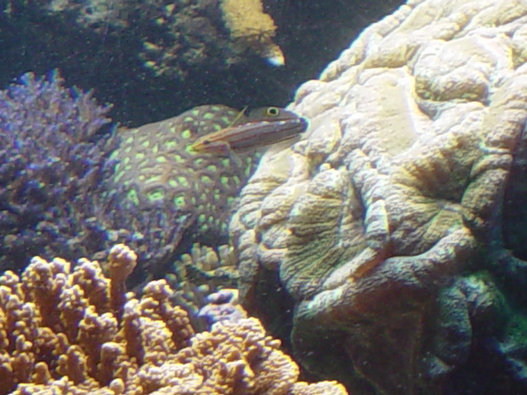 National Aquarium in Baltimore January 2006