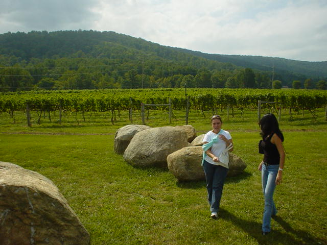 Wineries Virginia September 2006