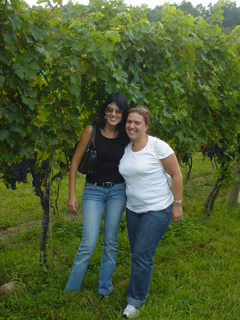 Wineries Virginia September 2006