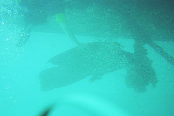 The Great Barrier Reef