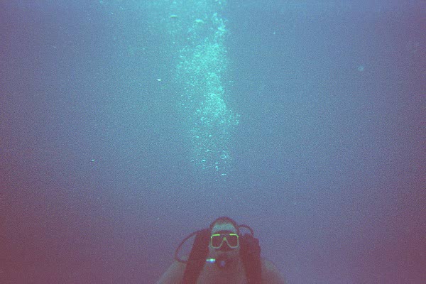 The Great Barrier Reef